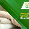 What Is Recycled Cotton Yarn? Benefits, Properties and Applications